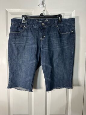 American Eagle Outfitters Dark Wash Denim Jean Shorts